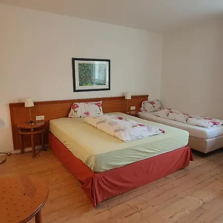 Floersheimer Hof Hotel Floersheim am Main
