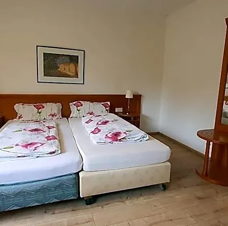 Floersheimer Hof Отель 3*